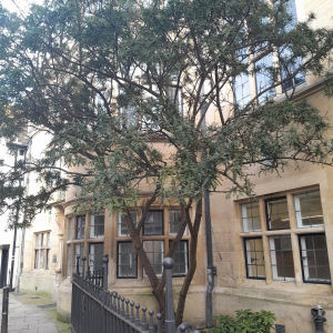 Old Botanical Garden